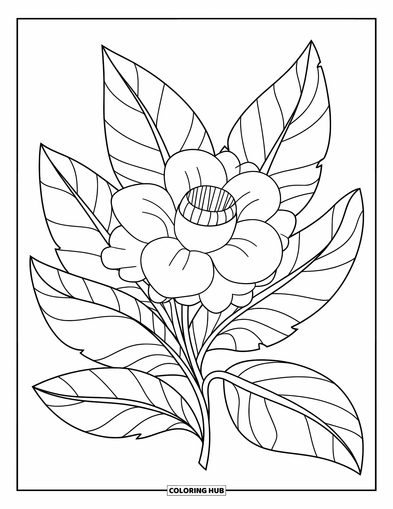 Puerto Rico Coloring Page for Kids: A Flor de Maga blooms among large, tropical Puerto Rican leaves