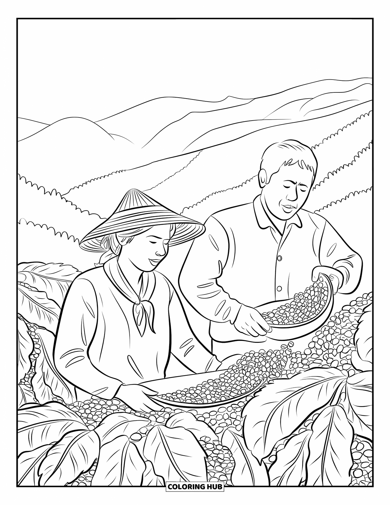 Puerto Rico Coloring Page for Kids: Farmers in straw hats pick coffee among Puerto Rico's green hills