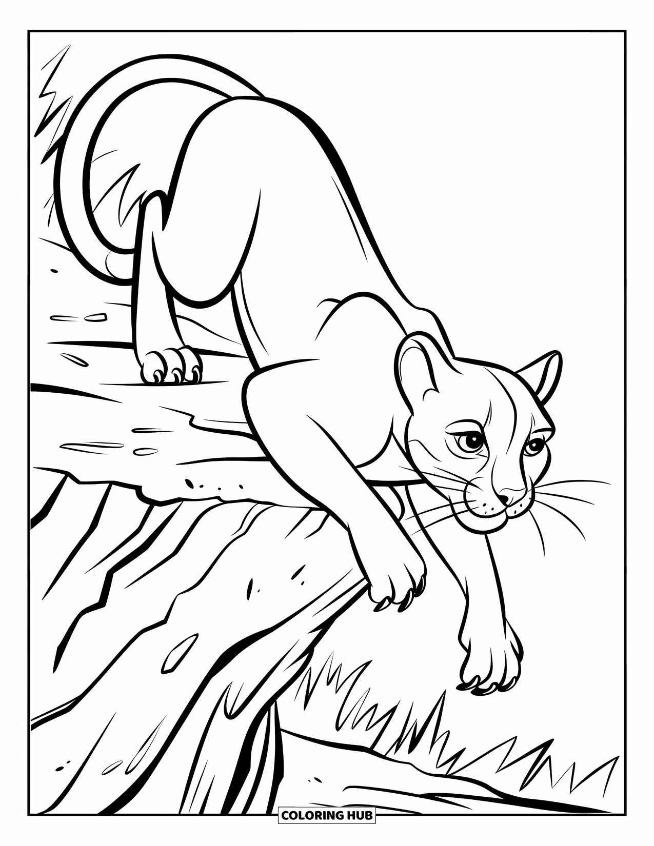 Puma Coloring Page for Kids: A crouched puma stands alone on a rocky ledge, muscles tense and ready