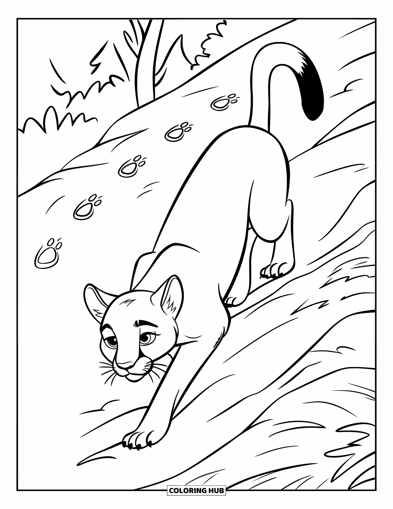 Puma Coloring Page for Kids: A puma climbs a path on a hill, leaving paw prints behind