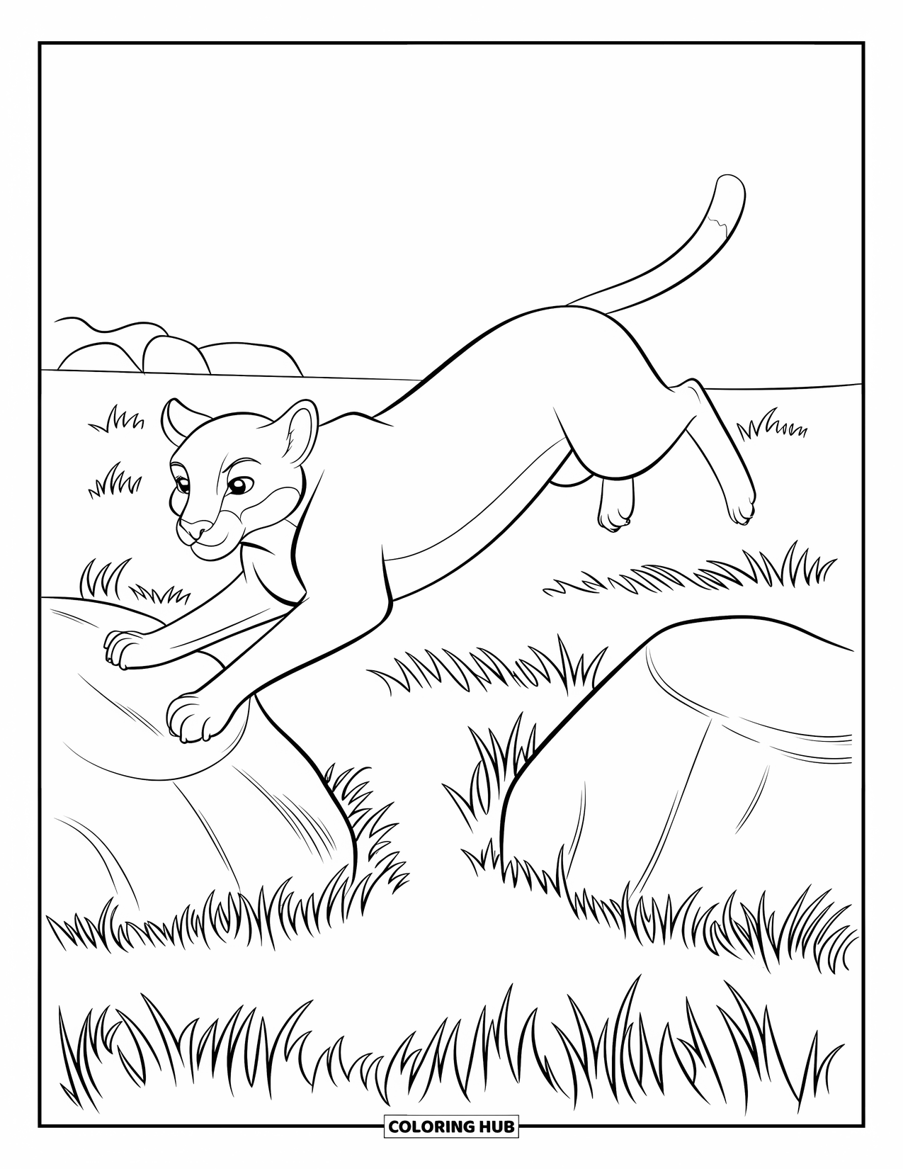 Puma Coloring Page for Kids: A puma leaps across grassy rocks in a wide, open field
