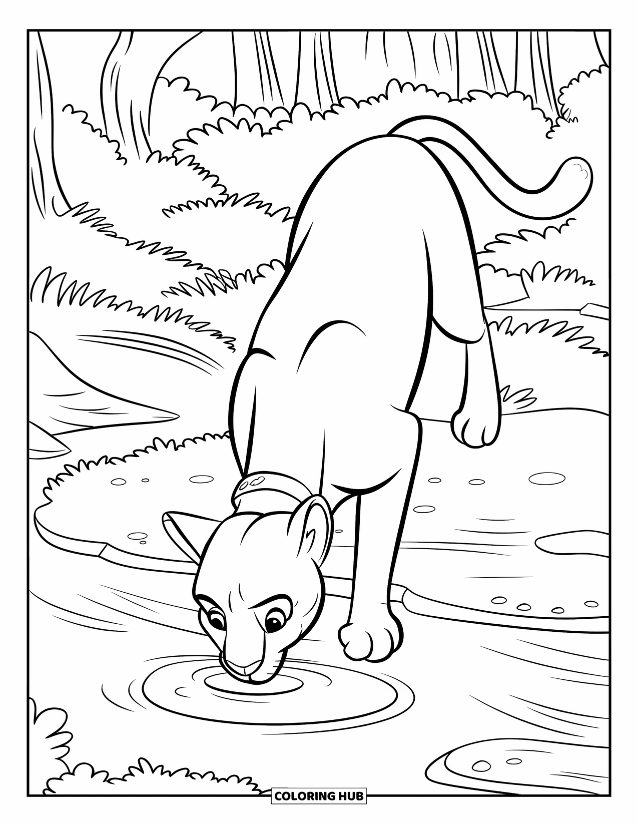 Puma Coloring Page for Kids: A puma wearing a hat takes a sip from a forest stream
