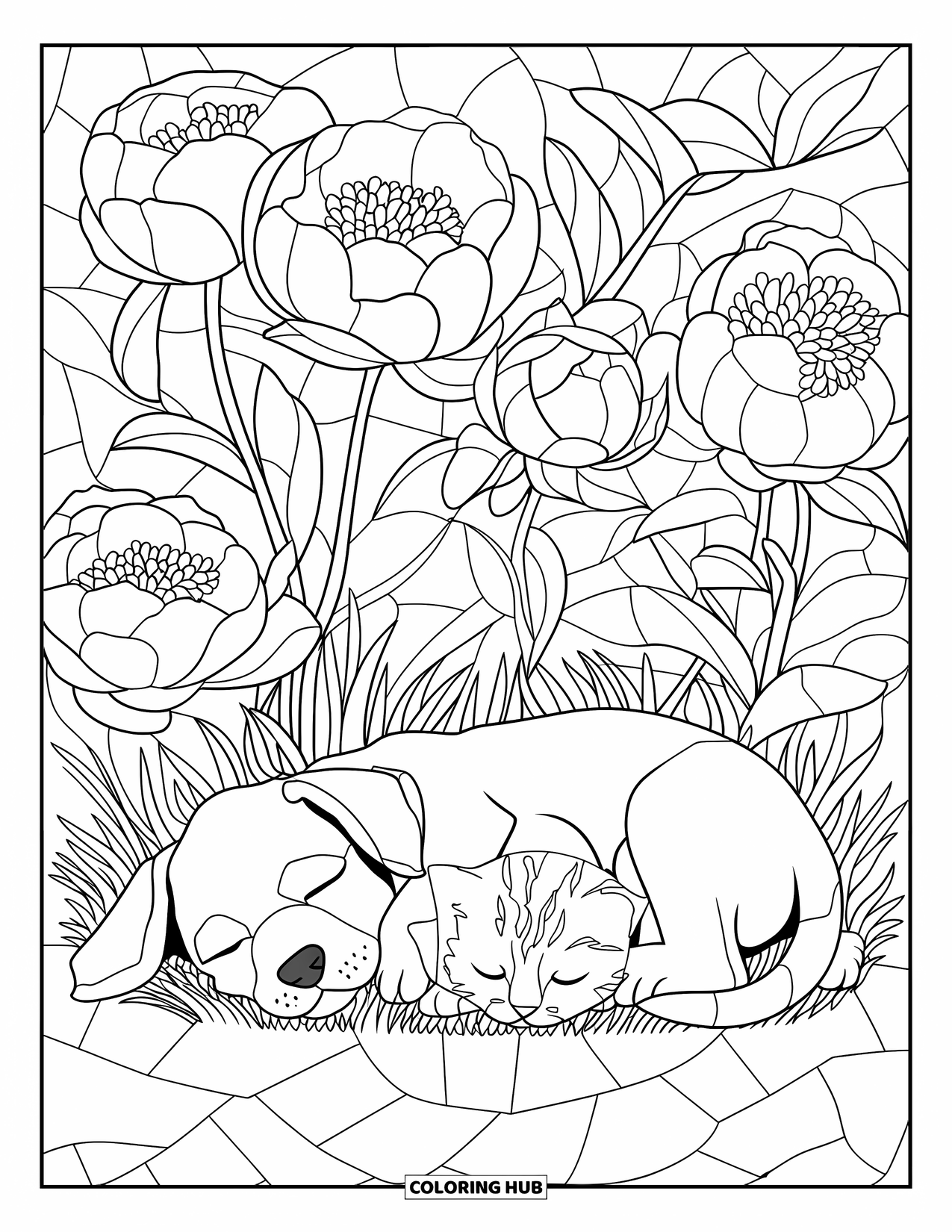 Puppy And Kitten Coloring Page for Adults: A puppy and kitten nap surrounded by peonies in a gentle floral scene