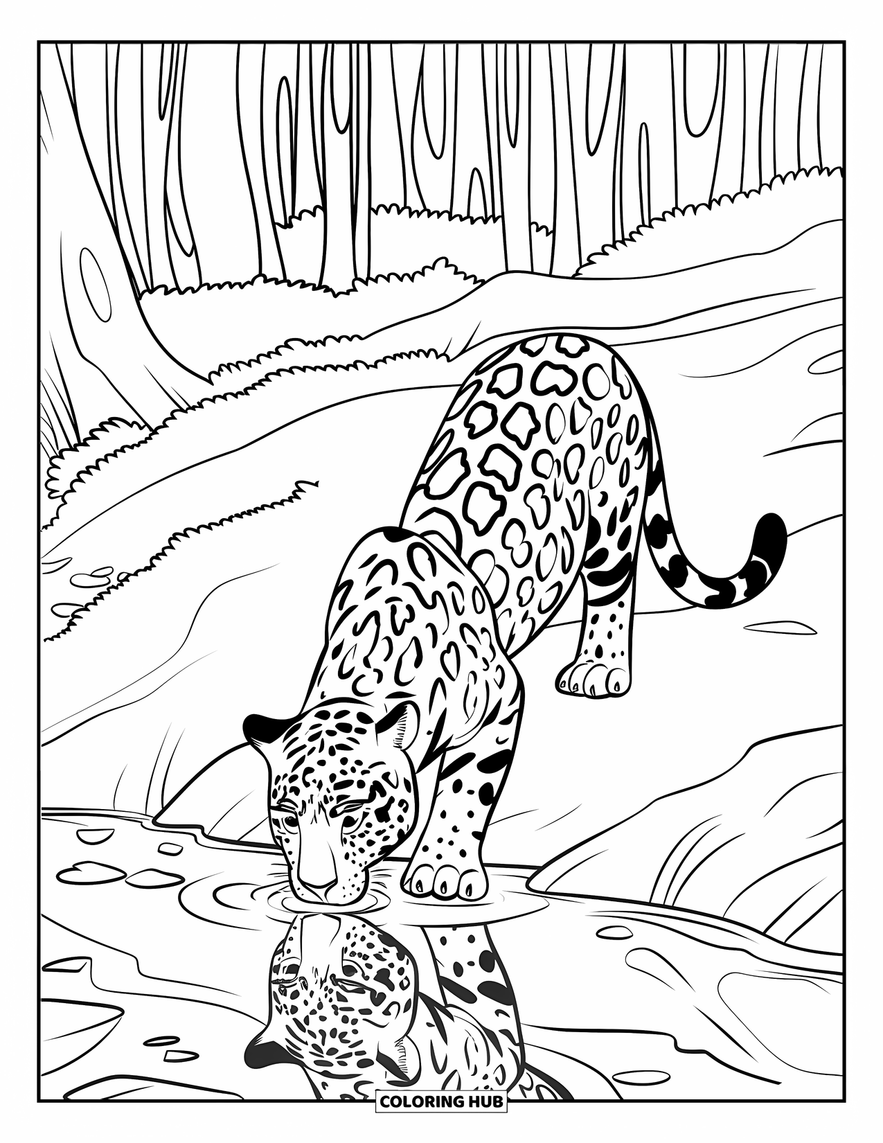 Rainforest Animals Coloring Page for Kids: A calm jaguar drinks peacefully from a quiet stream in the jungle