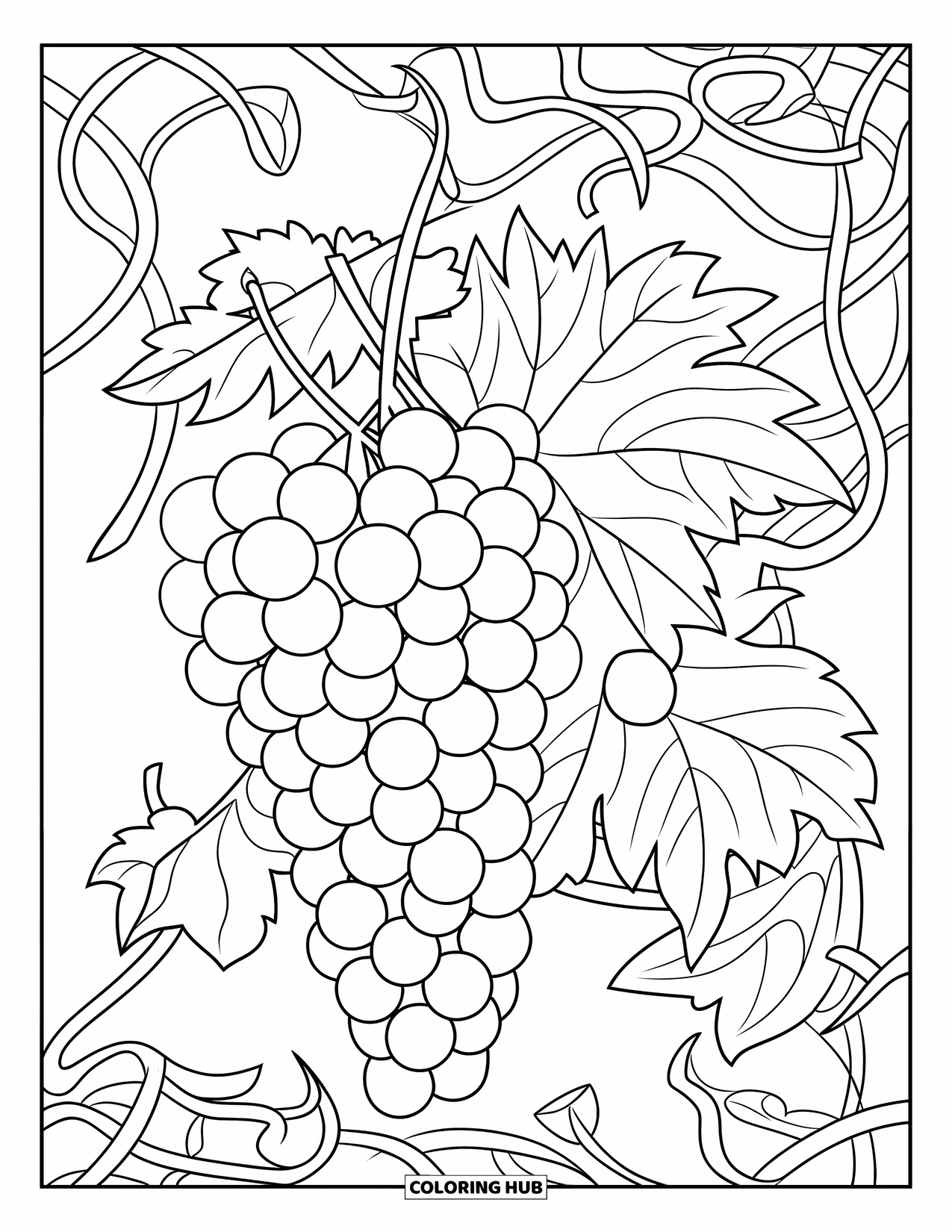 Summer Food Coloring Page for Adults: Grapes on a vine with a leafy mandala in the background