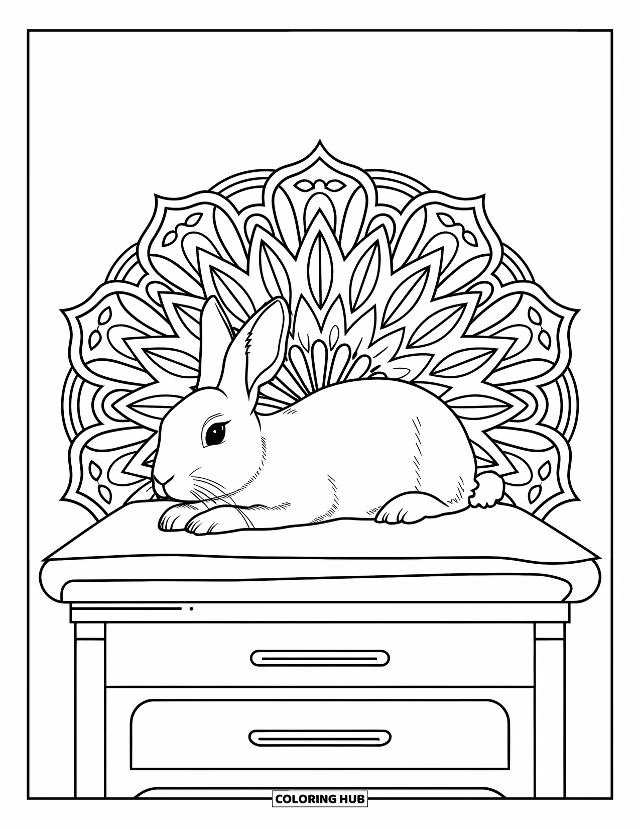 Vet Coloring Page for Adults: A calm rabbit lies quietly in the center of a floral mandala