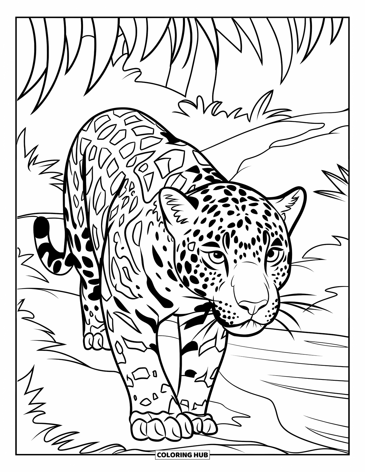 Wildlife Coloring Page for Kids: A jaguar walking along a riverbank deep in the rainforest