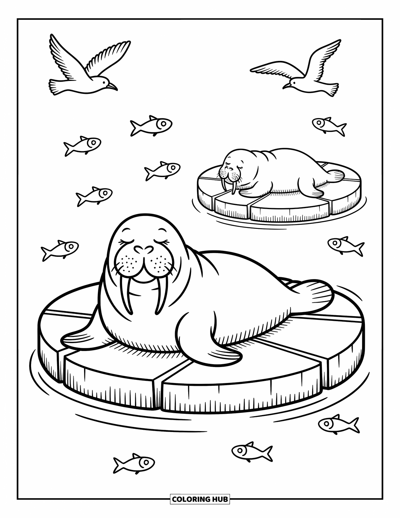 Arctic Animals Coloring Page for Adults: A calm walrus lounges on cracked ice as fish jump nearby