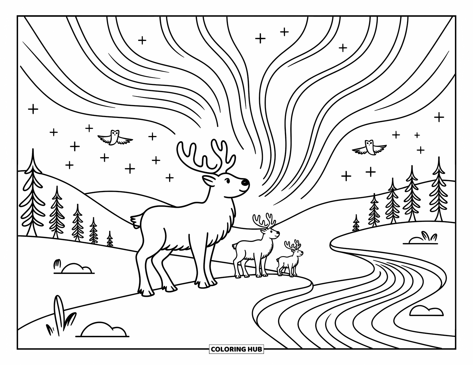 Arctic Animals Coloring Page for Adults: A reindeer and two calves stand peacefully under dancing lights