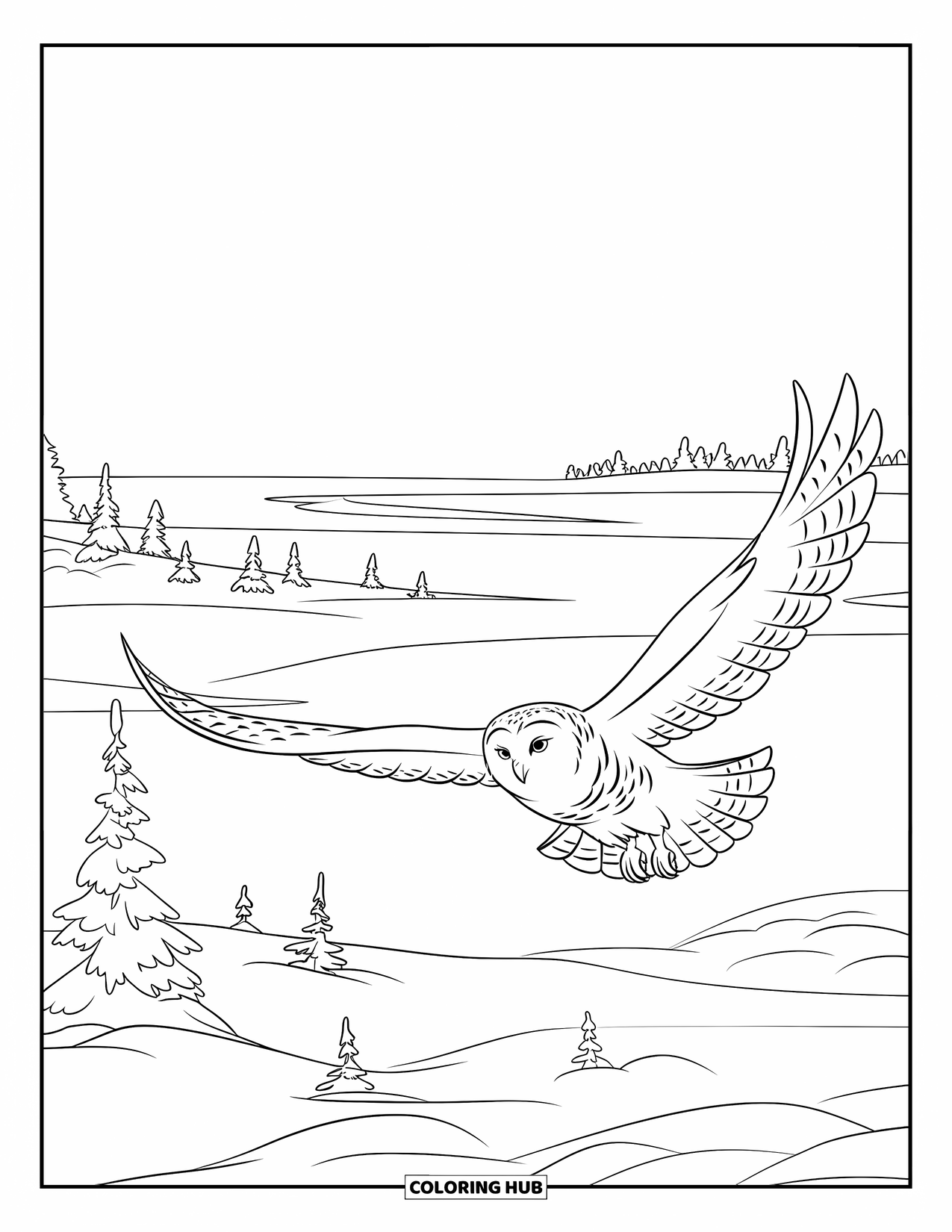 Arctic Animals Coloring Page for Kids: A snowy owl soars low over a white tundra plain