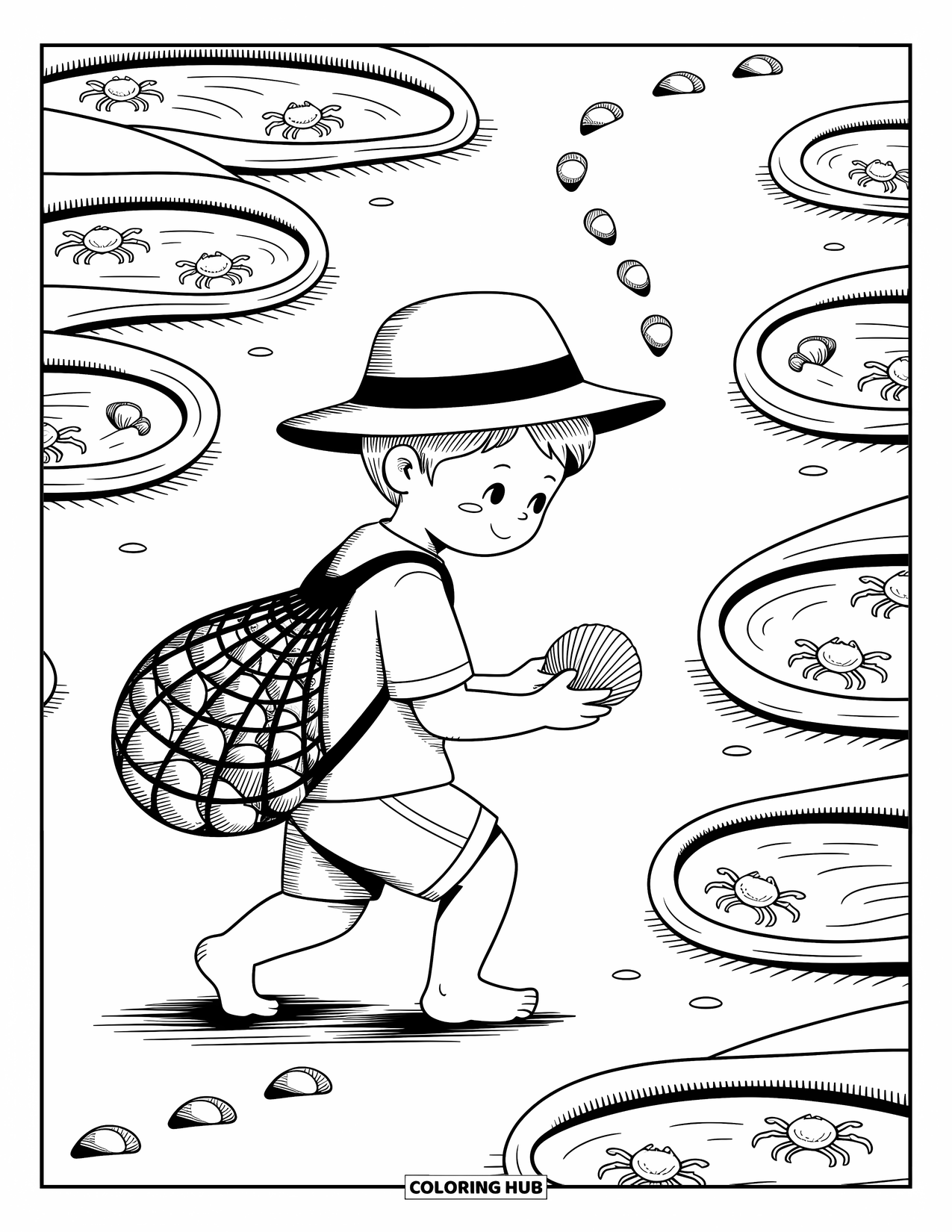 Beach Summer Coloring Page for Adults: A boy collecting shells near tidepools filled with seaweed and crabs