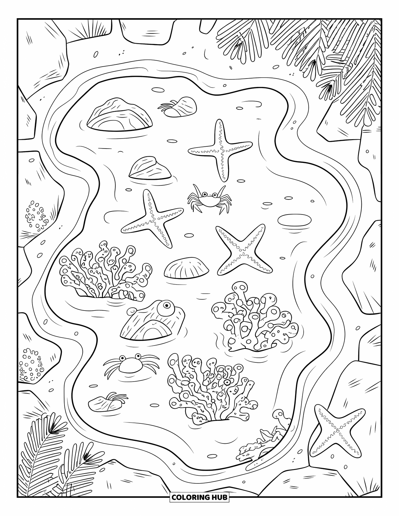 Beach Summer Coloring Page for Kids: A tide pool with starfish, crabs, and sea anemones on the shore
