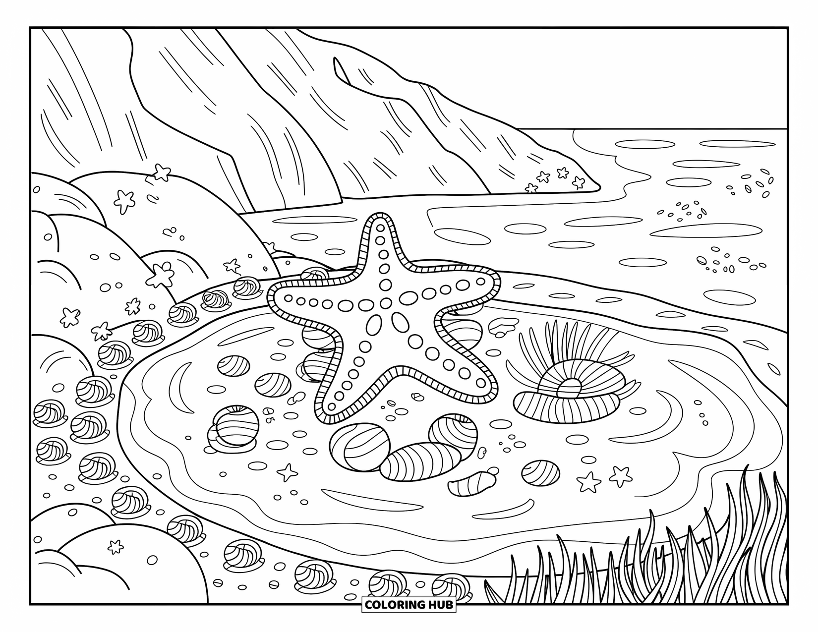 Blue Coloring Page for Adults: A calm seaside tide pool with a starfish, snail shells, and soft ocean ripples