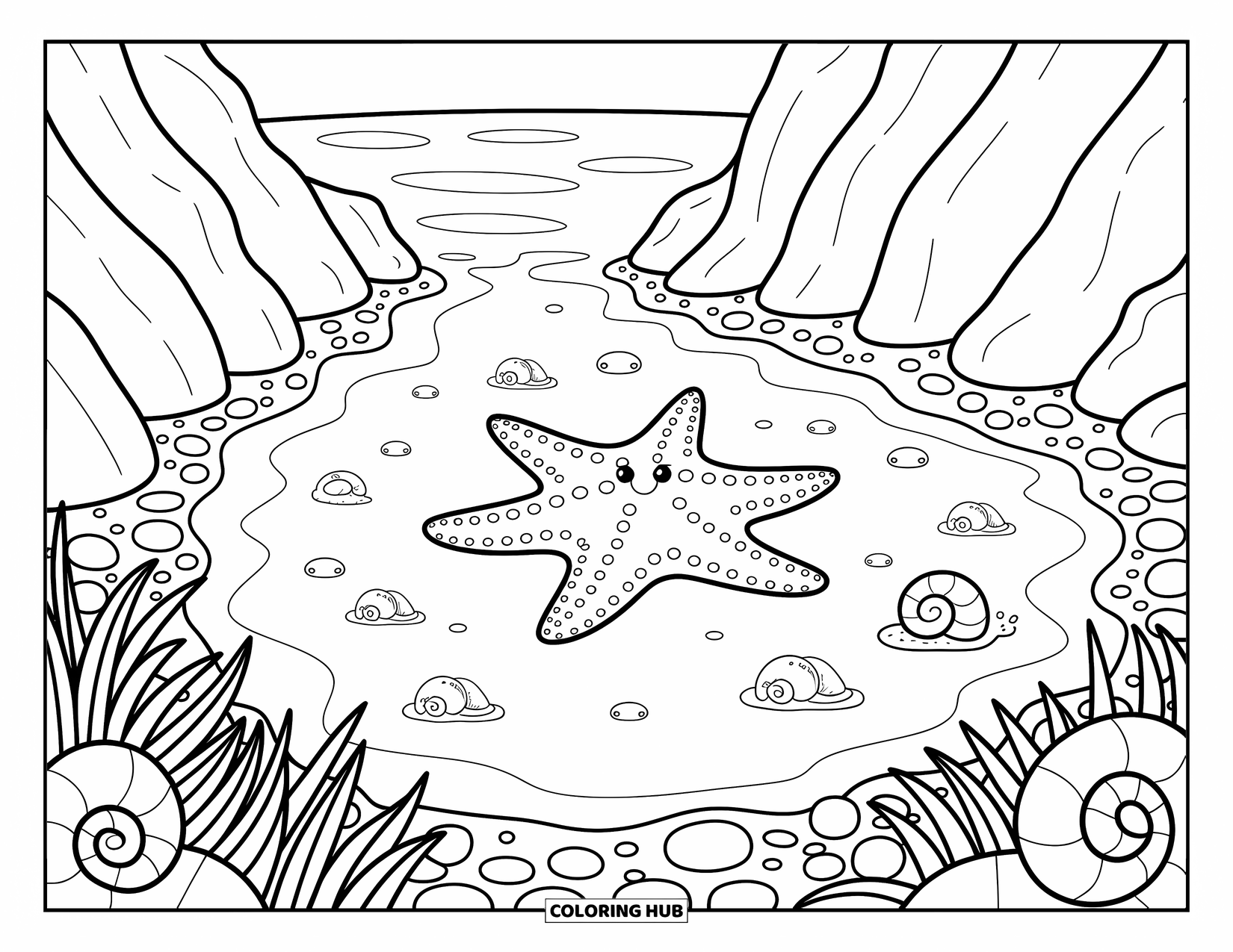 Blue Coloring Page for Adults: A peaceful tide pool with a starfish, pebbles, and sea grass by the shore