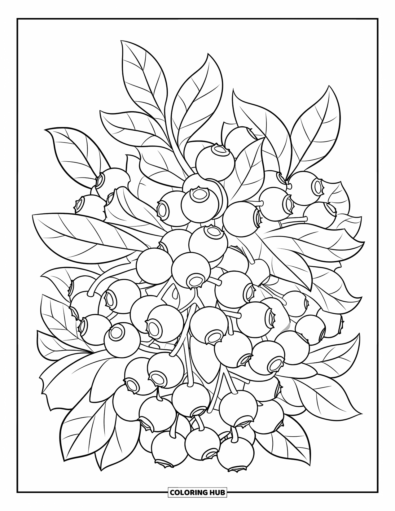 Blue Coloring Page for Kids: A bush full of ripe blueberries and green leaves