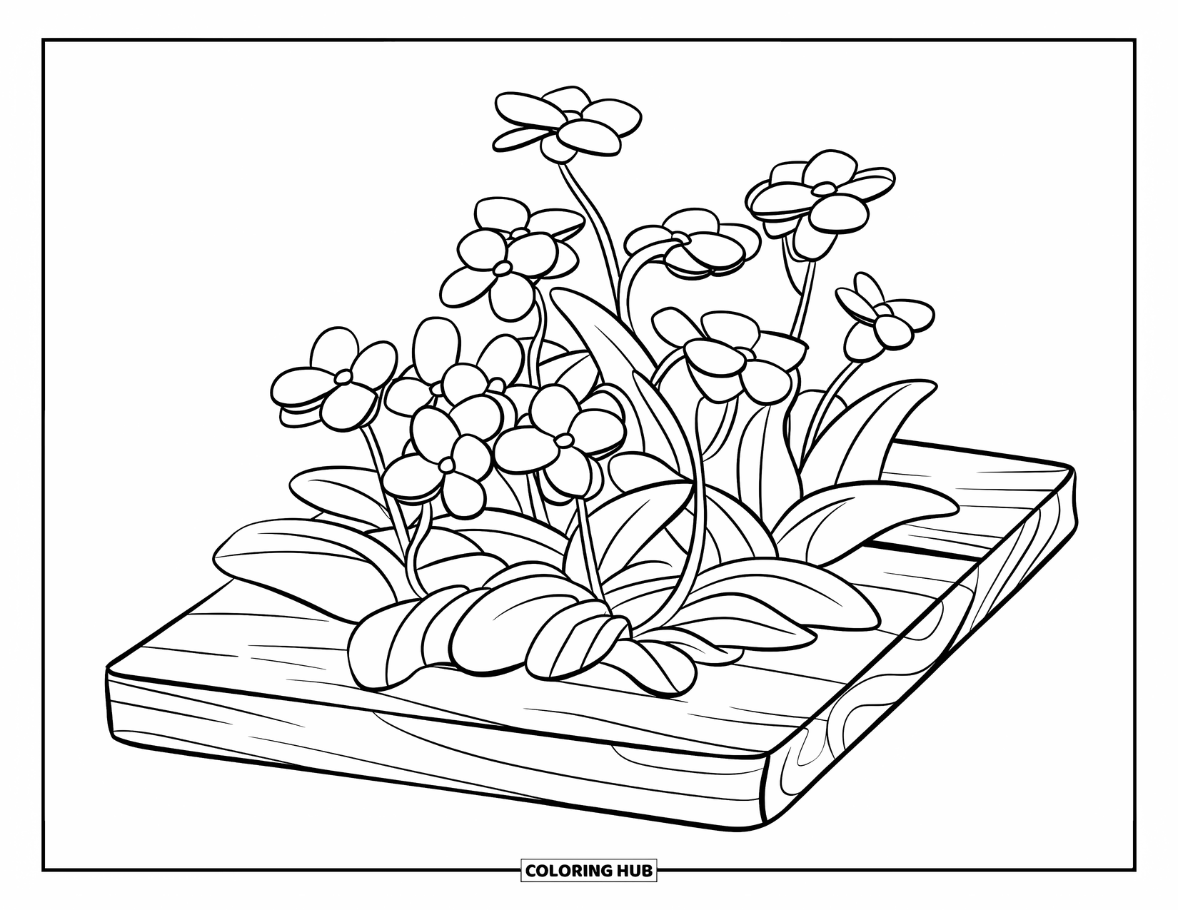 Blue Coloring Page for Kids: A cluster of forget-me-nots resting gently on a wooden board