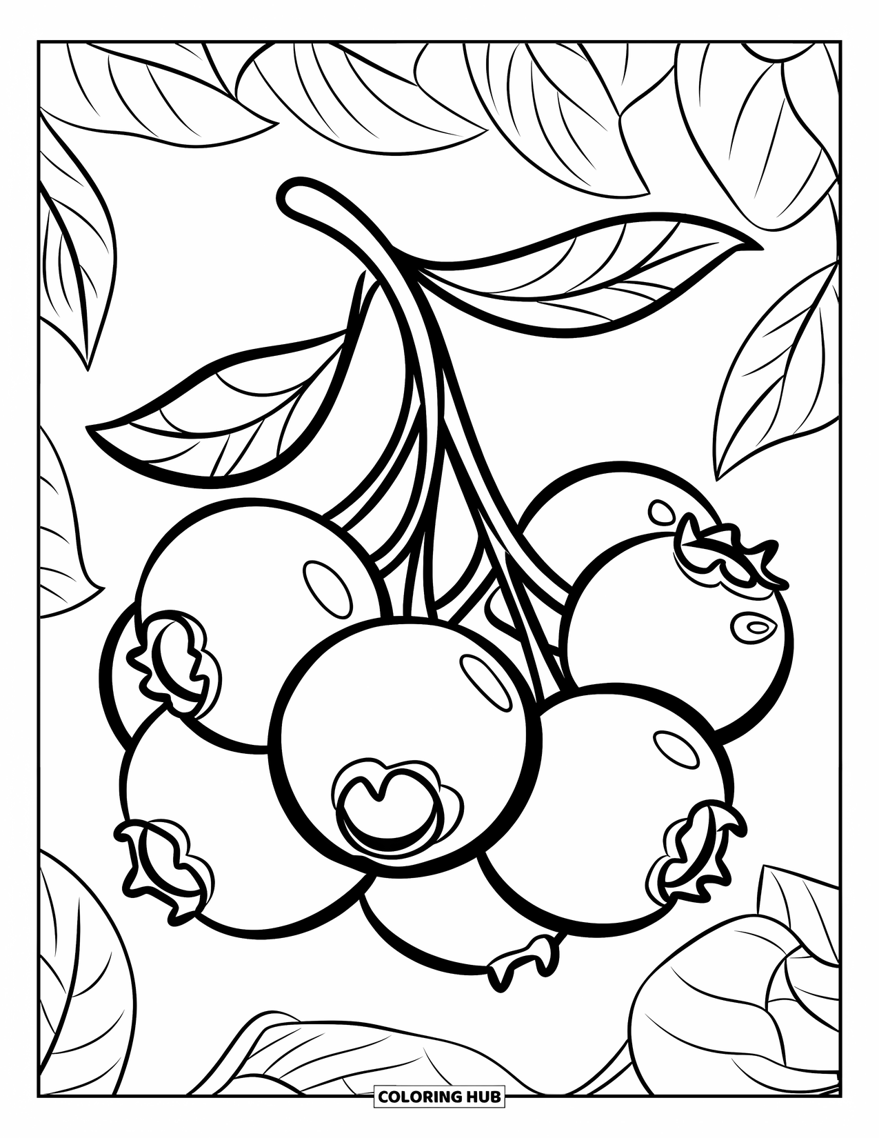 Blue Coloring Page for Kids: A cluster of shiny blueberries with delicate leaves on thin stems