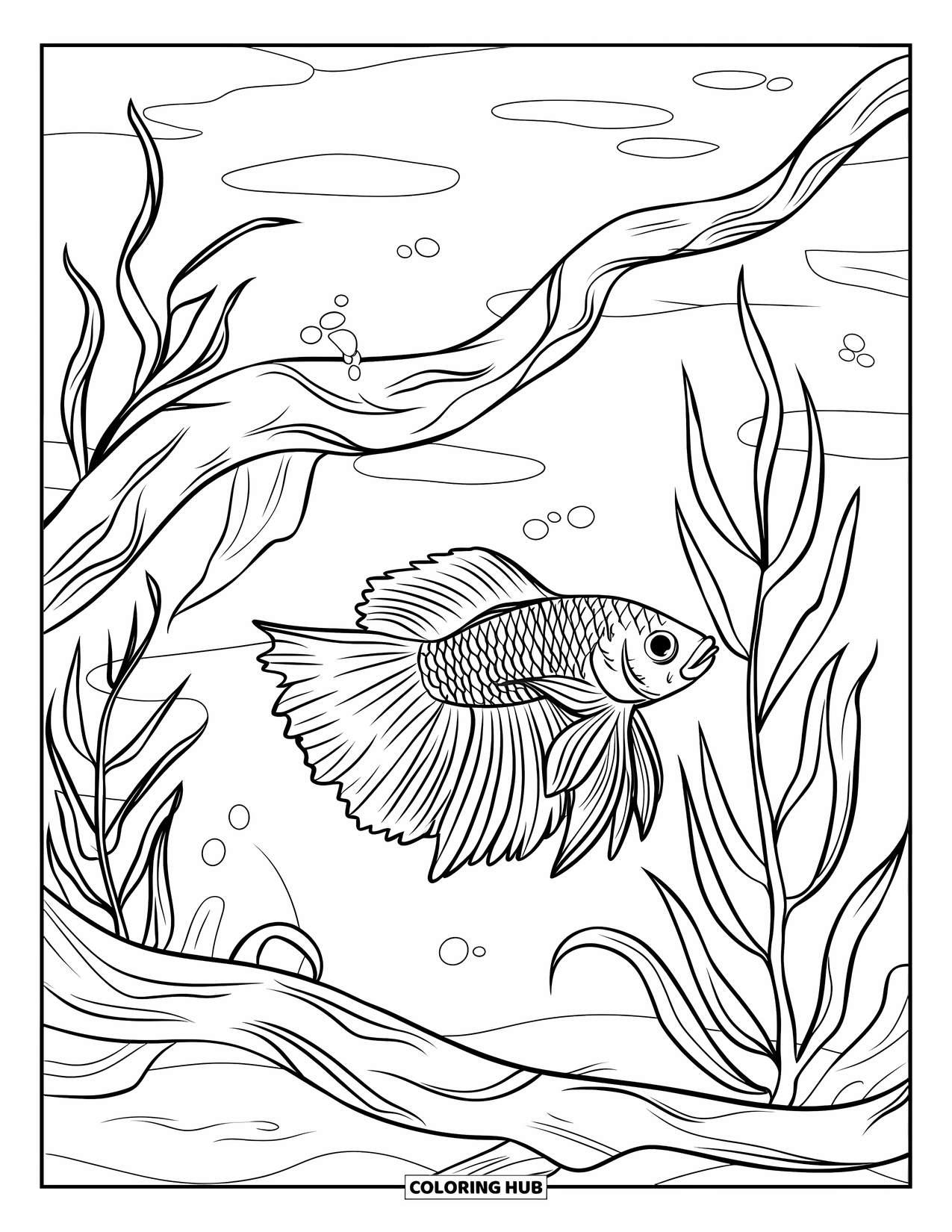 Blue Coloring Page for Kids: A graceful betta fish swimming among plants and twisted driftwood underwater