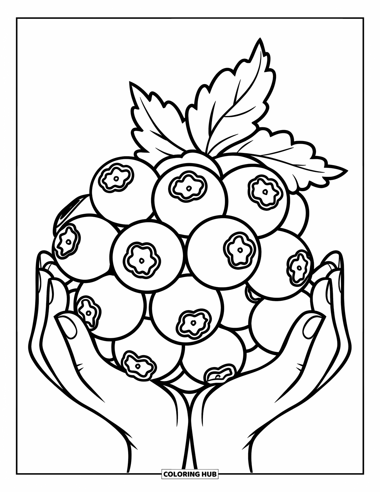 Blue Coloring Page for Kids: A handful of blueberries held by two hands with a leaf on top