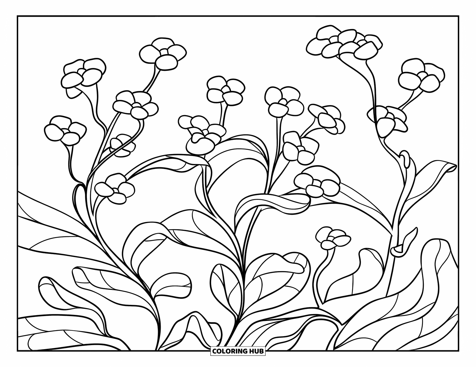 Blue Coloring Page for Kids: A small patch of forget-me-nots with soft petals and leaves