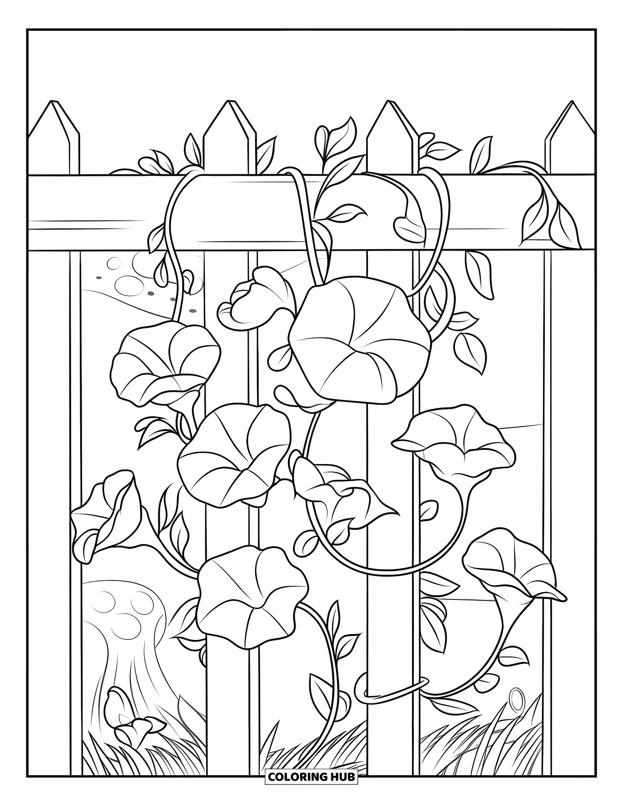 Blue Coloring Page for Kids: Morning glory vines wrapping around a wooden fence with soft grass below