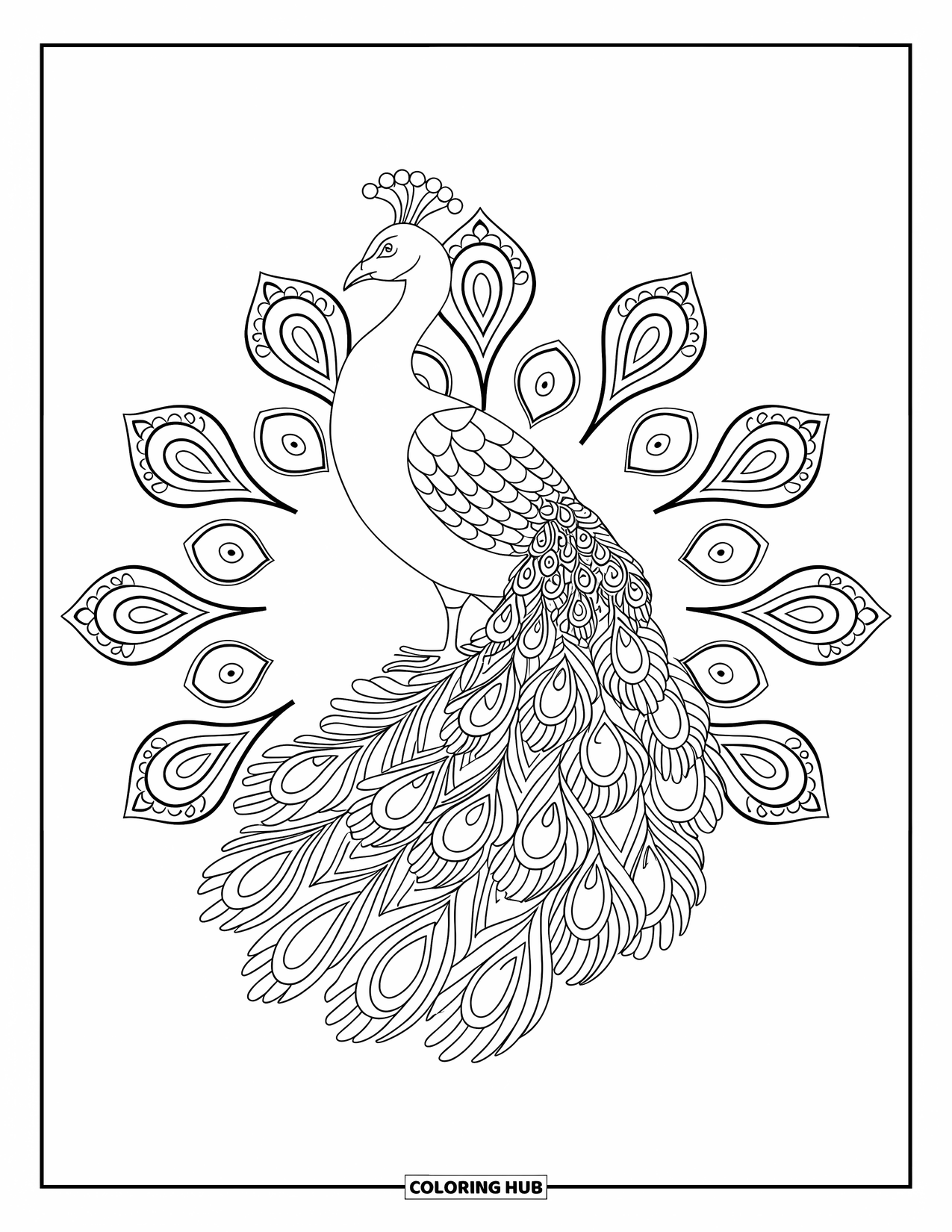 Diwali Coloring Page for Adults: A proud peacock spreads its feathers among paisley mandalas