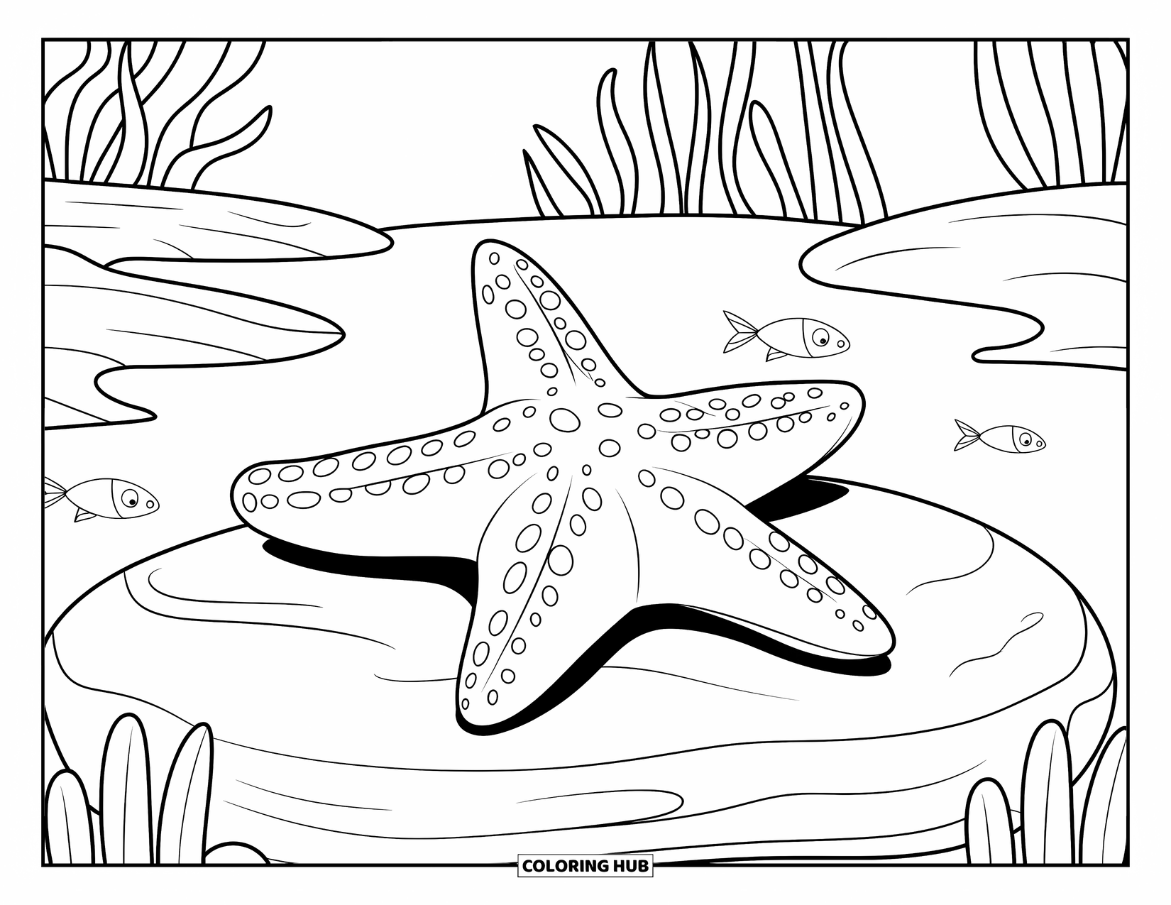 Underwater Coloring Page for Kids: A small starfish sits on a rock surrounded by fish