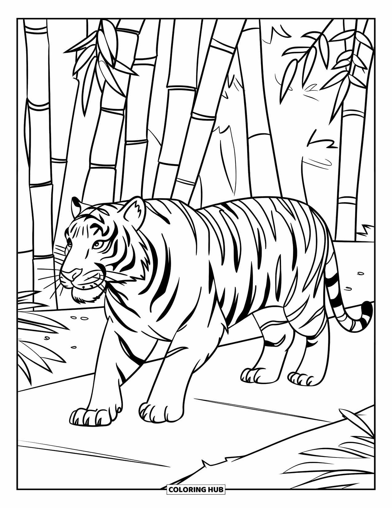 Zoo Animals Coloring Page for Kids: A strong tiger walks proudly through a path surrounded by bamboo