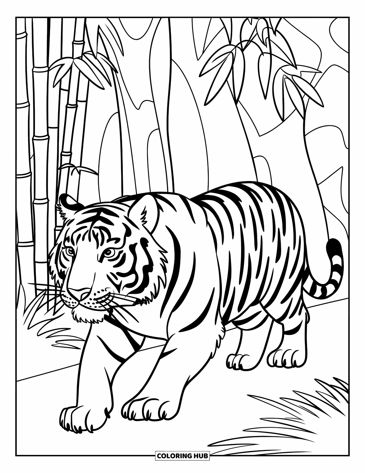 Zoo Animals Coloring Page for Kids: A tiger moves quietly past bamboo in the zoo's jungle trail